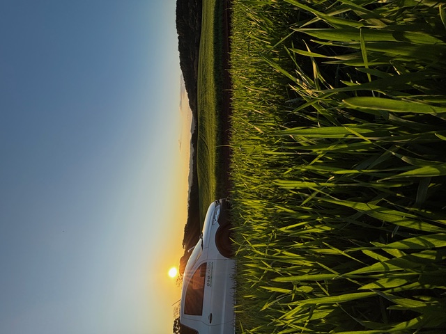 IMG_9407.jpeg